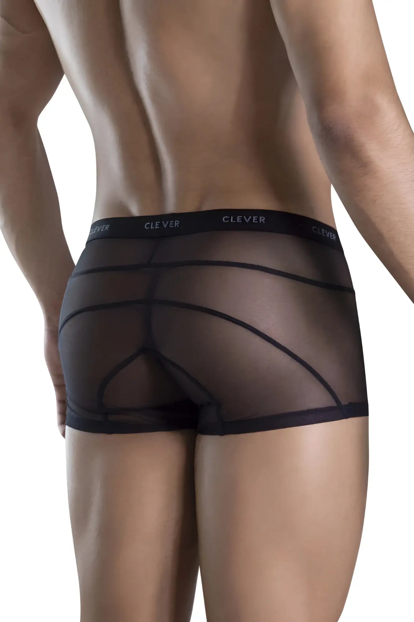 Black sheer mesh briefs with black elastic waistband printed with clever in white from clever 1673 legend trunks