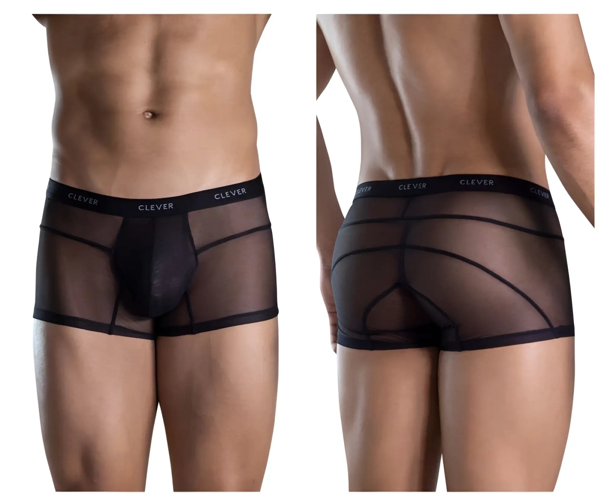 Black sheer mesh briefs with solid inner panel and clever elastic waistband from clever 1673 legend trunks