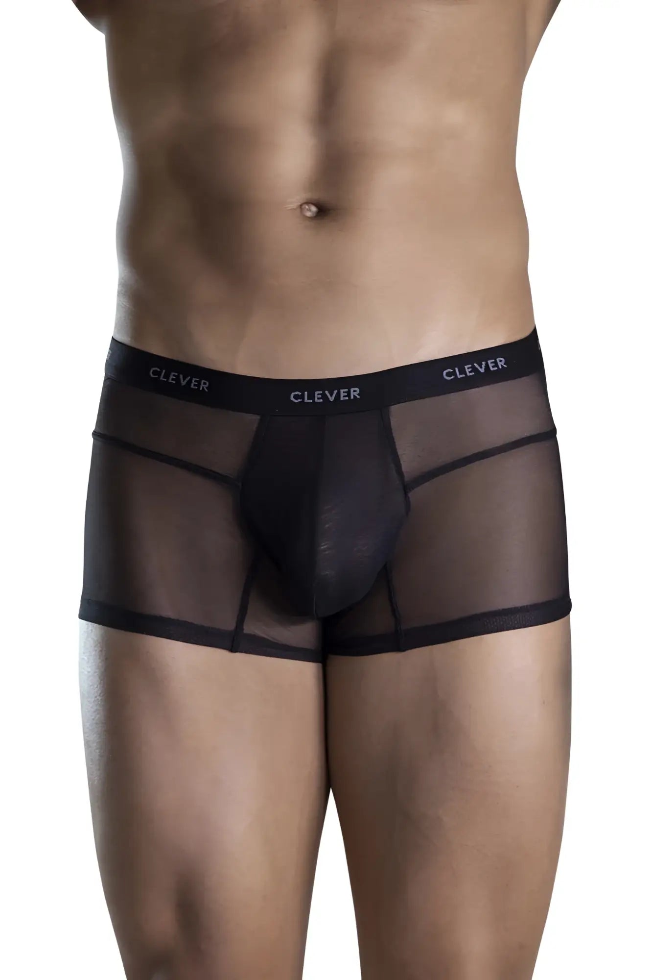 Black sheer mesh briefs with a solid black inner panel and elastic waistband featuring clever brand name