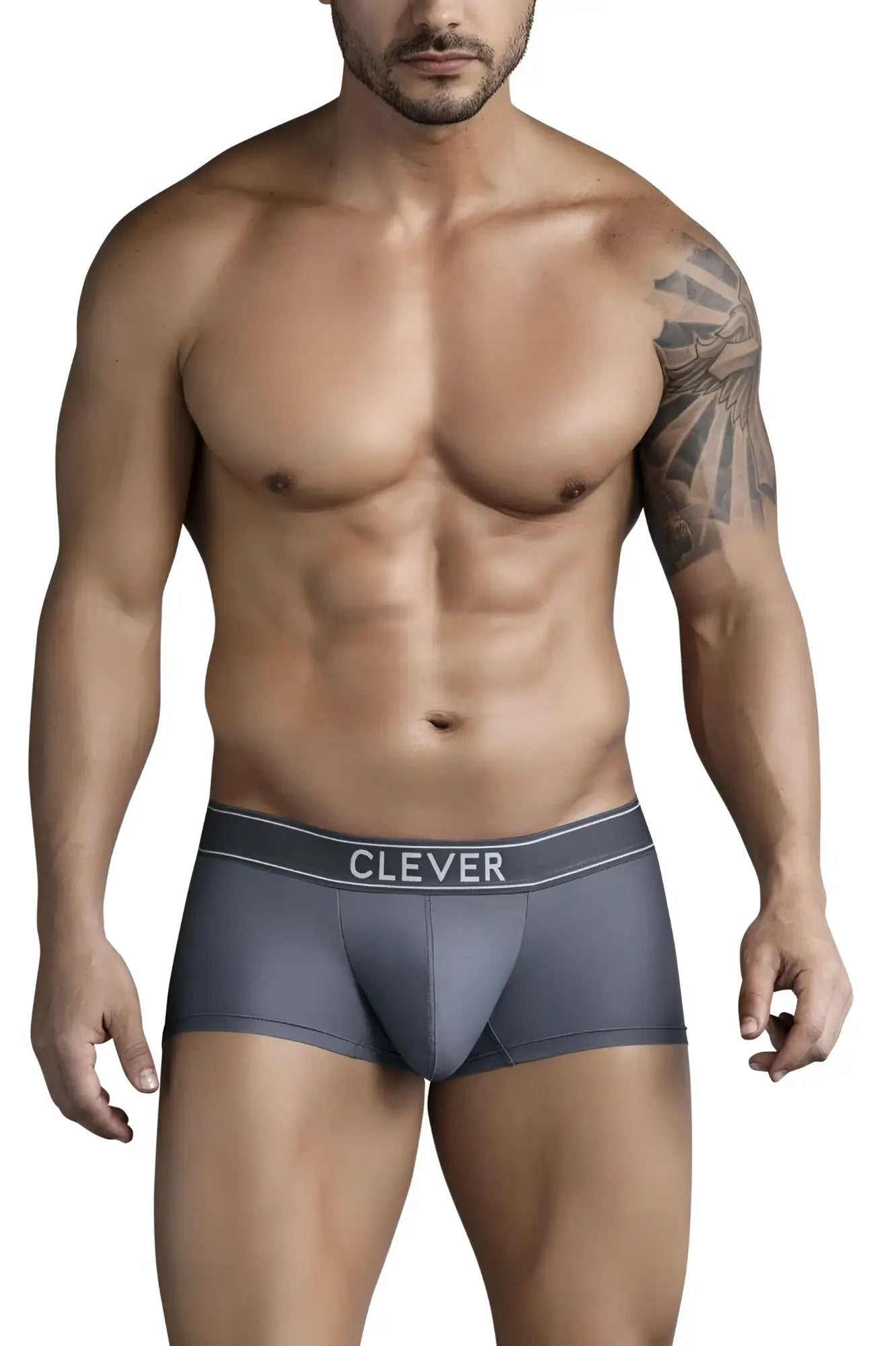 Gray men’s briefs with a white clever logo on the waistband from clever 1751 craftiness trunks color dark gray