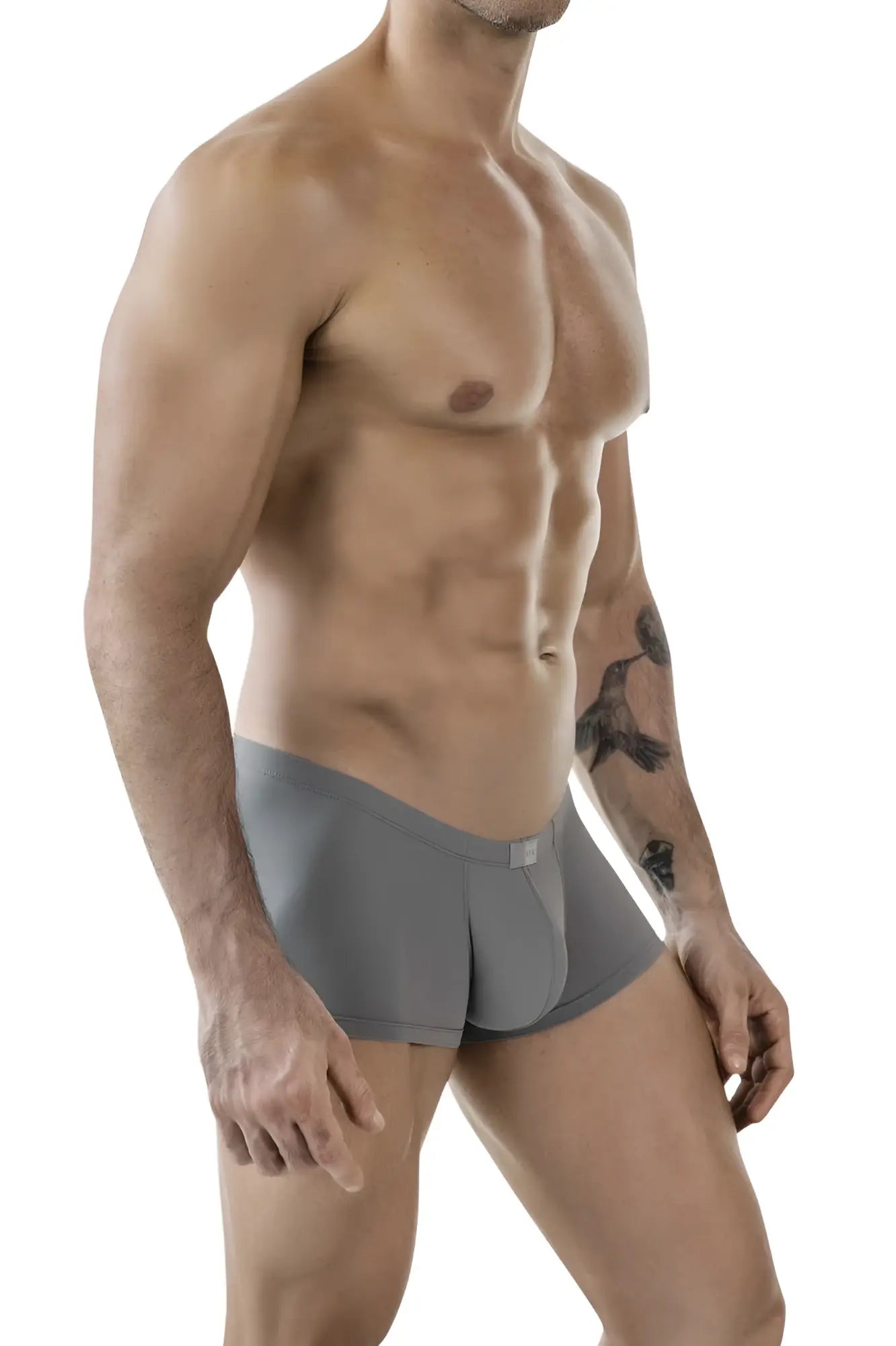 Gray clever 1842 buenavista trunks boxer briefs with a sleek modern design and subtle brand tag at the waistband