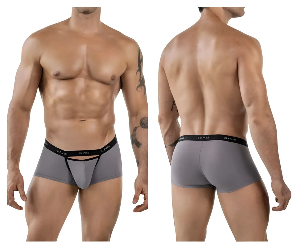 Gray clever 1866 tokio trunks boxer briefs with black elastic waistband featuring clever brand name