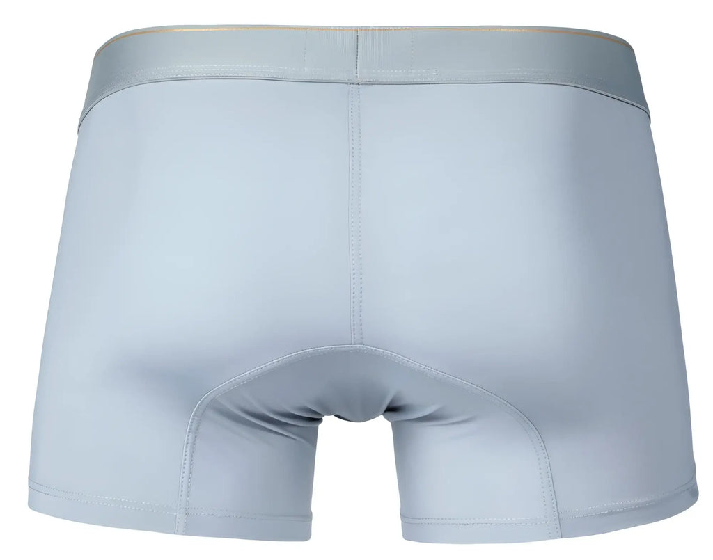 Light gray clever 2026 valladolid trunks boxer briefs with matching elastic waistband and subtle stitching details