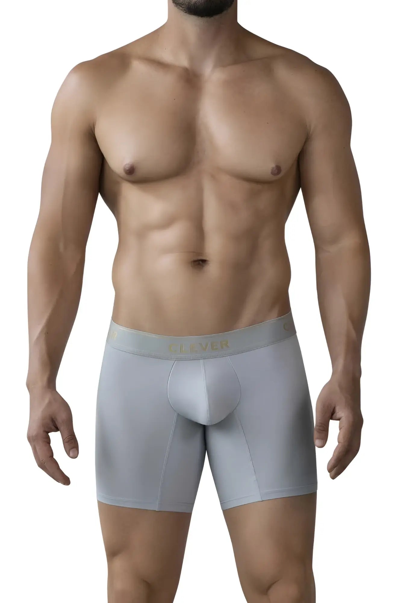 Light gray clever 2027 valladolid boxer briefs with a form-fitting design and subtle gold logo on the waistband