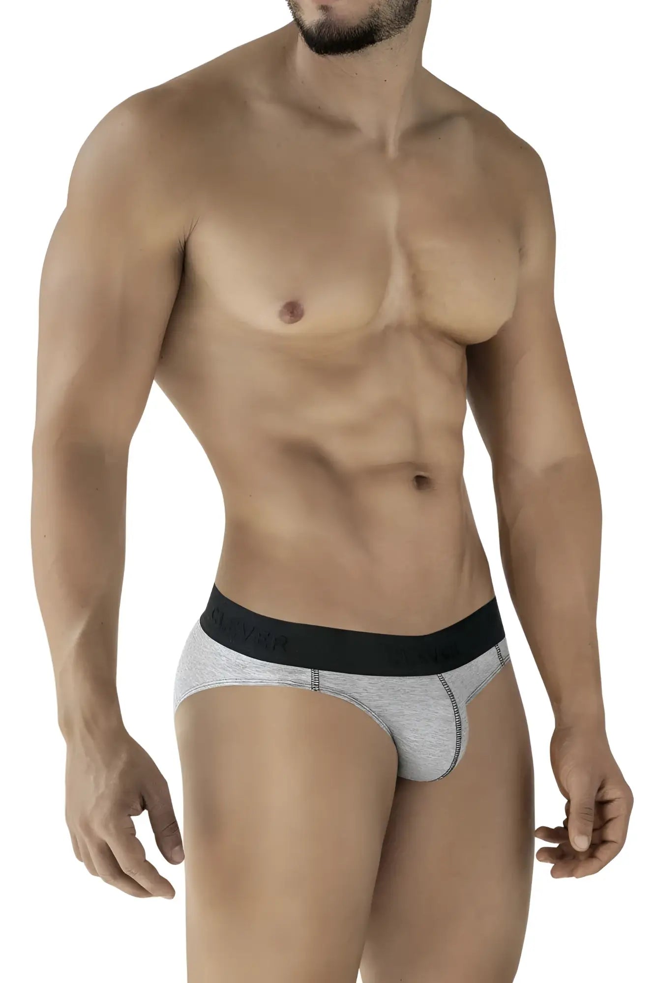 Gray heathered briefs with black elastic waistband clever 2045 catamarca briefs color dark gray front view