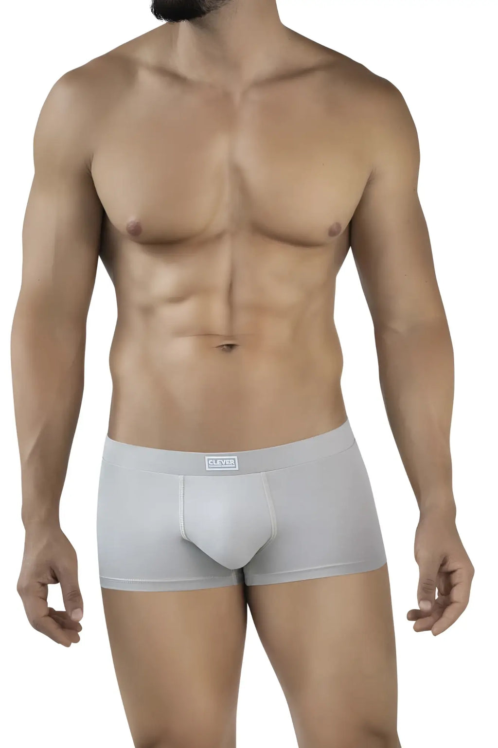 Light gray seamless briefs with subtle clever brand label on waistband in clever 2047 cordoba trunks color sand