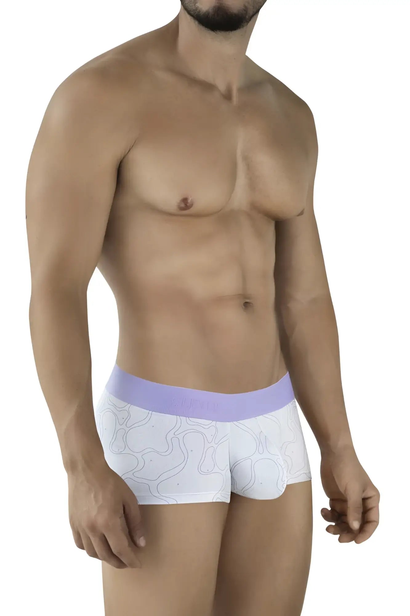 White boxer briefs with lavender elastic waistband and subtle gray abstract line pattern from clever 2056 maze trunks