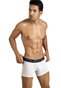 White clever victoria checker textured boxer briefs with black waistband and branded clever logo size s