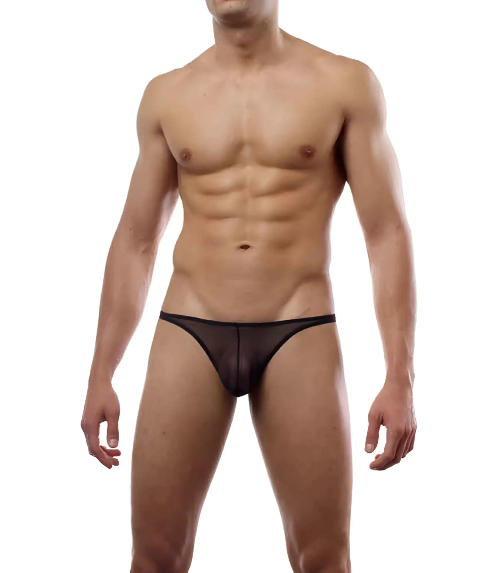 Black sheer mesh briefs cover male brazilian bikini underwear sheer black size m shown from the back side