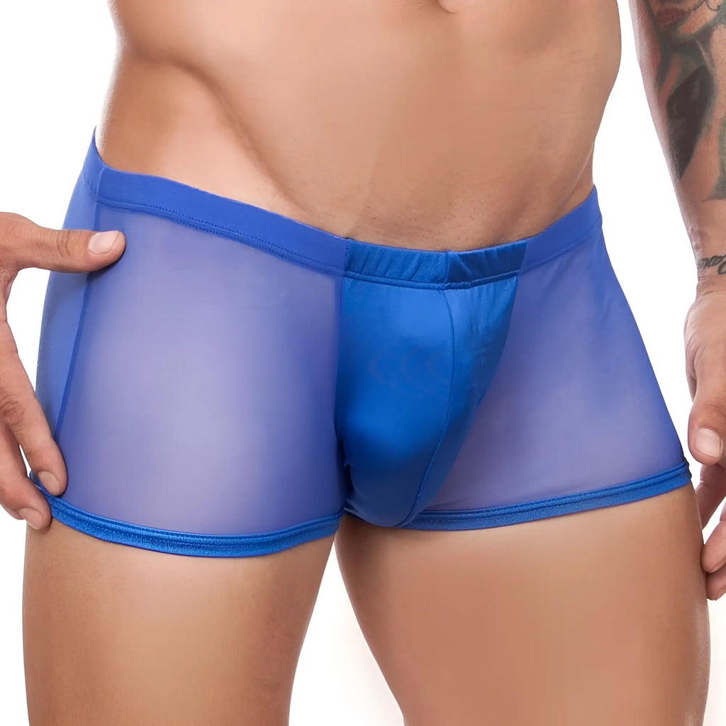 Cover male cm164 boxer trunk blue sheer mesh briefs with solid front panel and matching elastic waistband