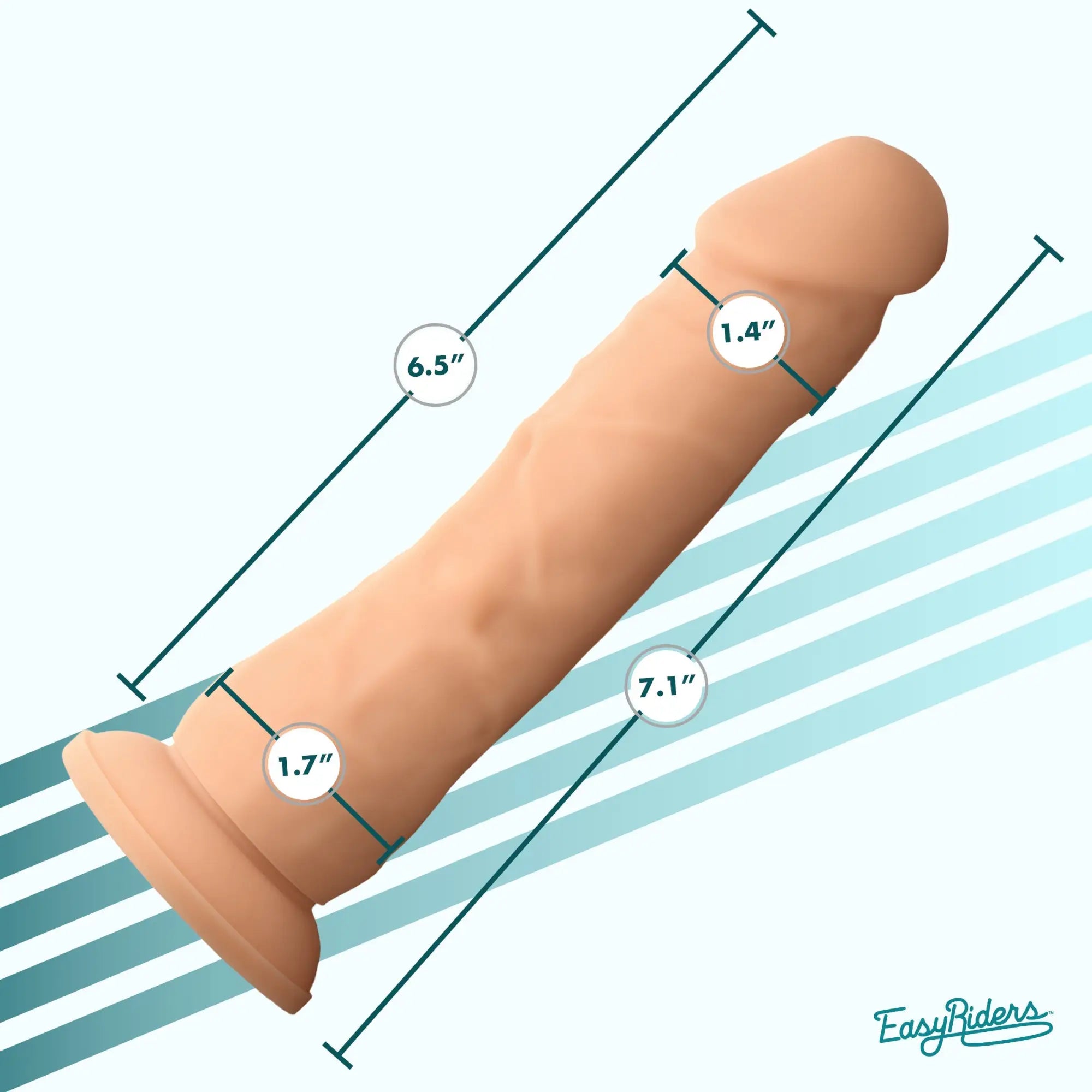 Curve Toys Easy Riders 7-inch silicone dildo in beige with realistic texture, suction base, and product dimensions shown.