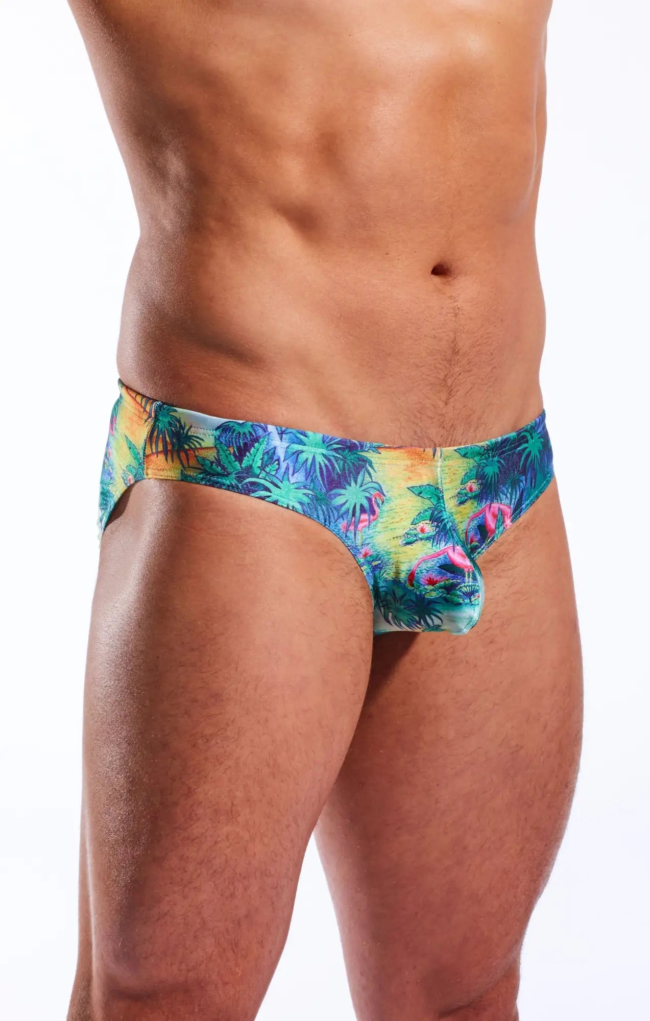 Cx04pr drawstring swim brief with vibrant tropical palm tree and bird pattern in teal yellow pink and green colors