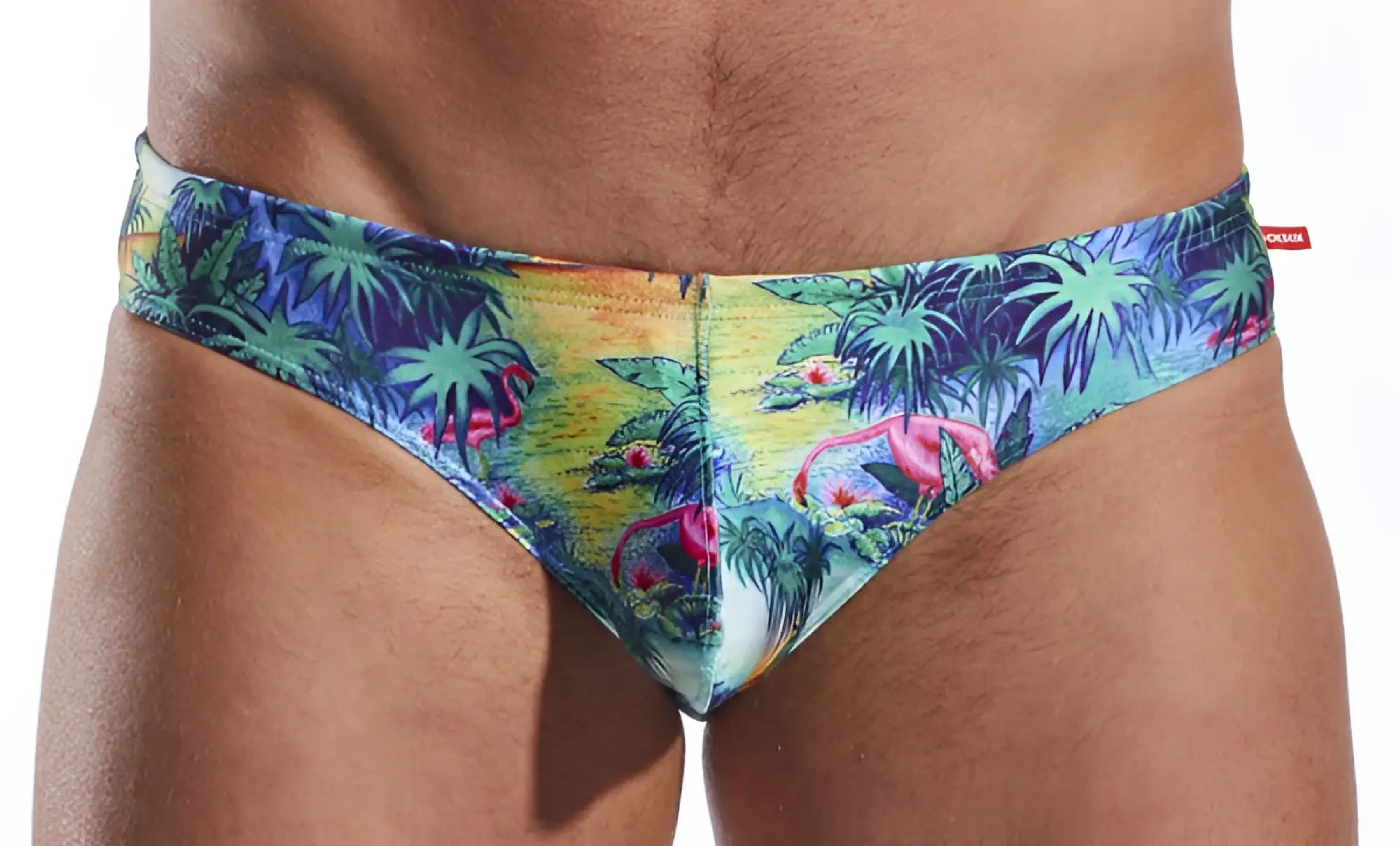 Cx04pr drawstring swim brief with vibrant tropical palm tree and pink flamingo print in blue green yellow and purple