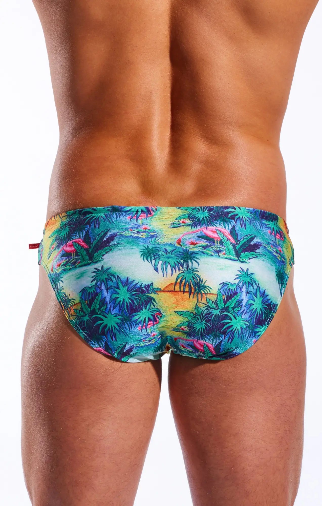 Cx04pr drawstring swim brief with vibrant tropical print of palm trees flamingos and sunset in teal pink yellow and blue