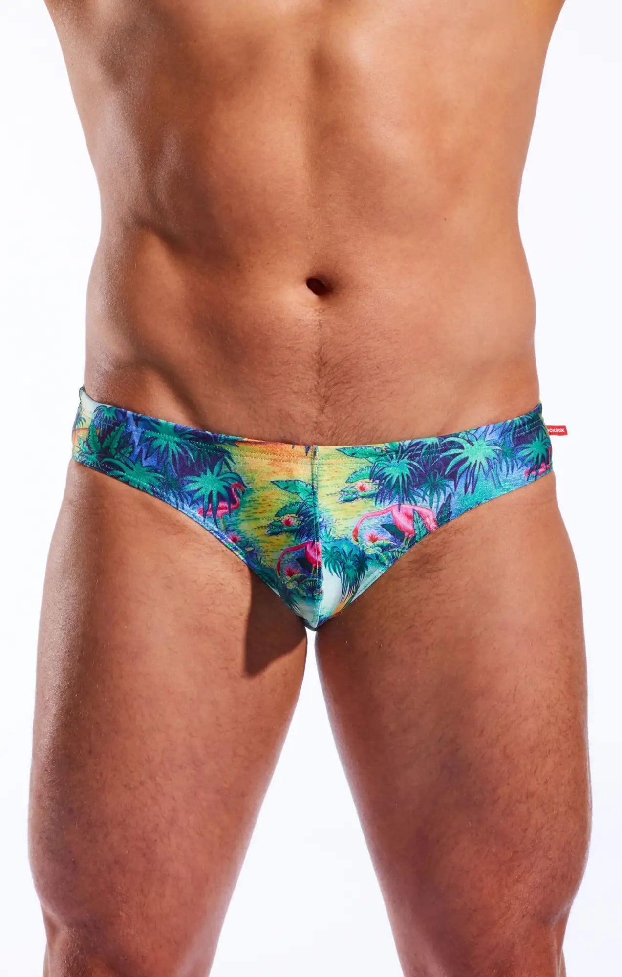 Cx04pr drawstring swim brief with vibrant tropical print swim trunks in teal yellow pink and green featuring palm trees and flamingos