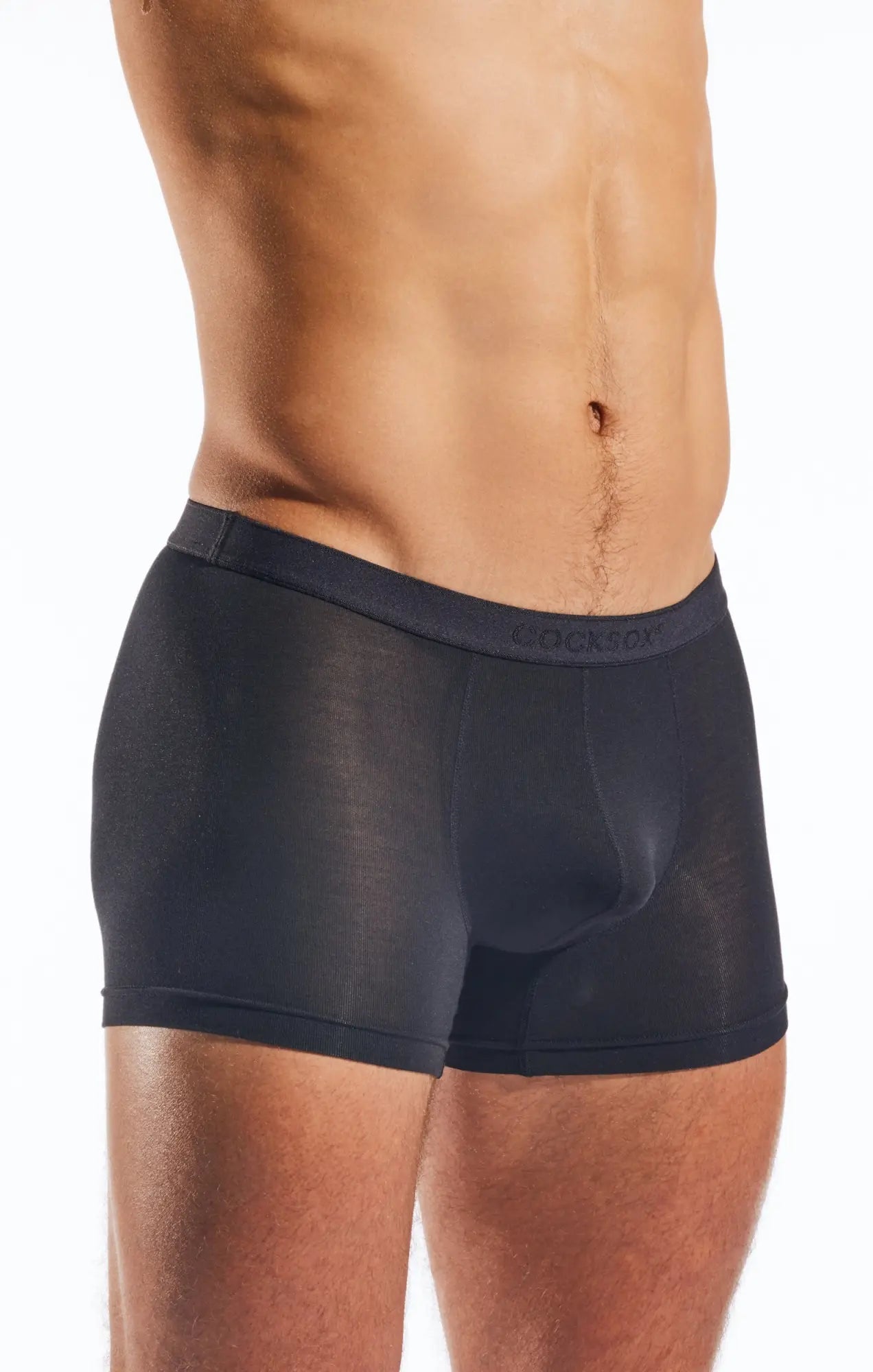 Black sheer mens boxer briefs cx12md boxer with subtle textured pattern and locker embroidered waistband