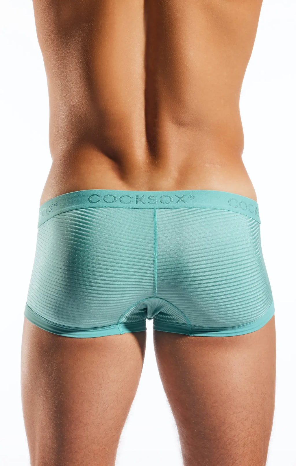 Teal ribbed semi sheer trunk boxer briefs with branded waistband for comfortable stylish underwear wear