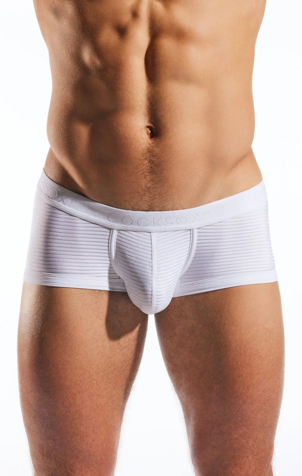 White ribbed textured mens briefs with contoured design and elastic waistband cx68lux semi sheer trunk