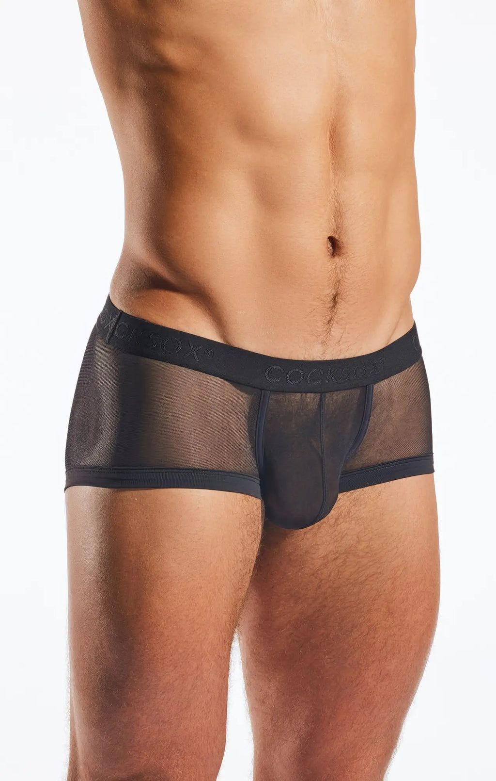 Black mesh briefs with solid black waistband featuring cocky brand name in cx68me mesh trunk style