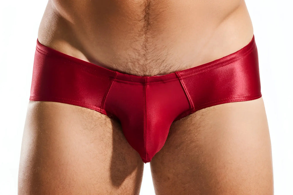 Red metallic boy leg swim brief cx79gs with sleek form-fitting design ideal for swimming and beachwear