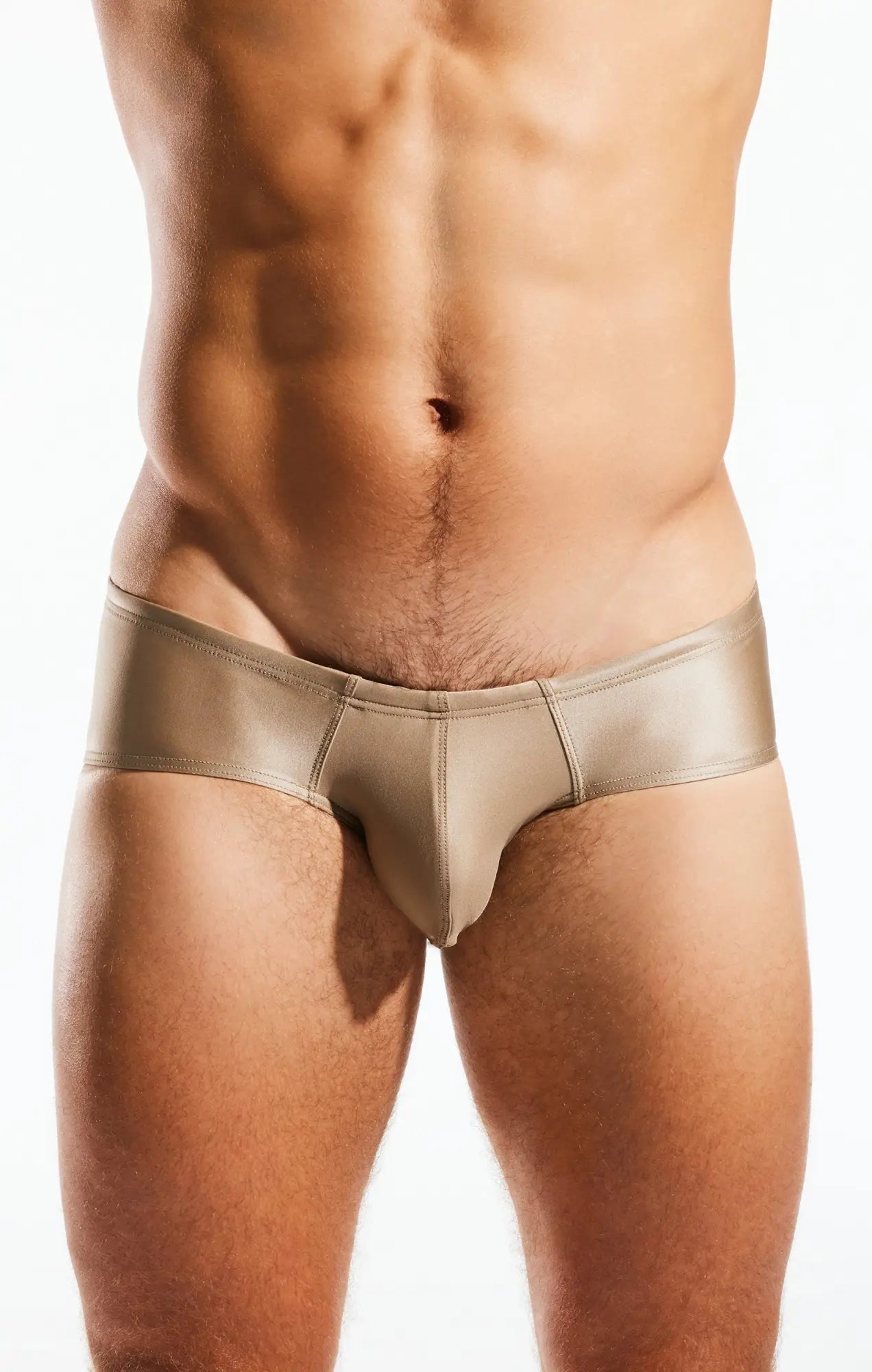 Tan metallic cx79gs boy leg swim brief with sleek form-fitting design for comfortable swimwear use