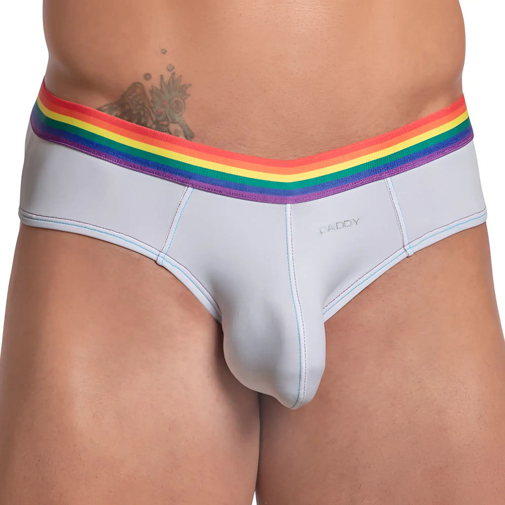 Light gray form-fitting men’s Daddy DDJ027 briefs with rainbow-striped elastic waistband and embroidered brand name on front