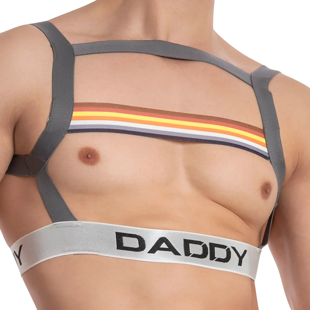 Gray daddy ddu006 bodysuit and harness with colorful striped chest band and daddy printed on silver waistband