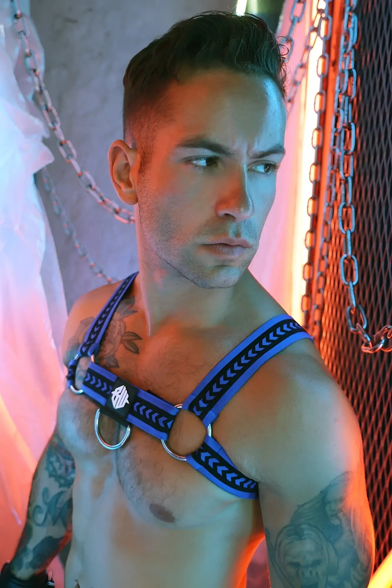 Blue and black leather daddy’s favorite bulldog harness with silver rings and central logo visible from front
