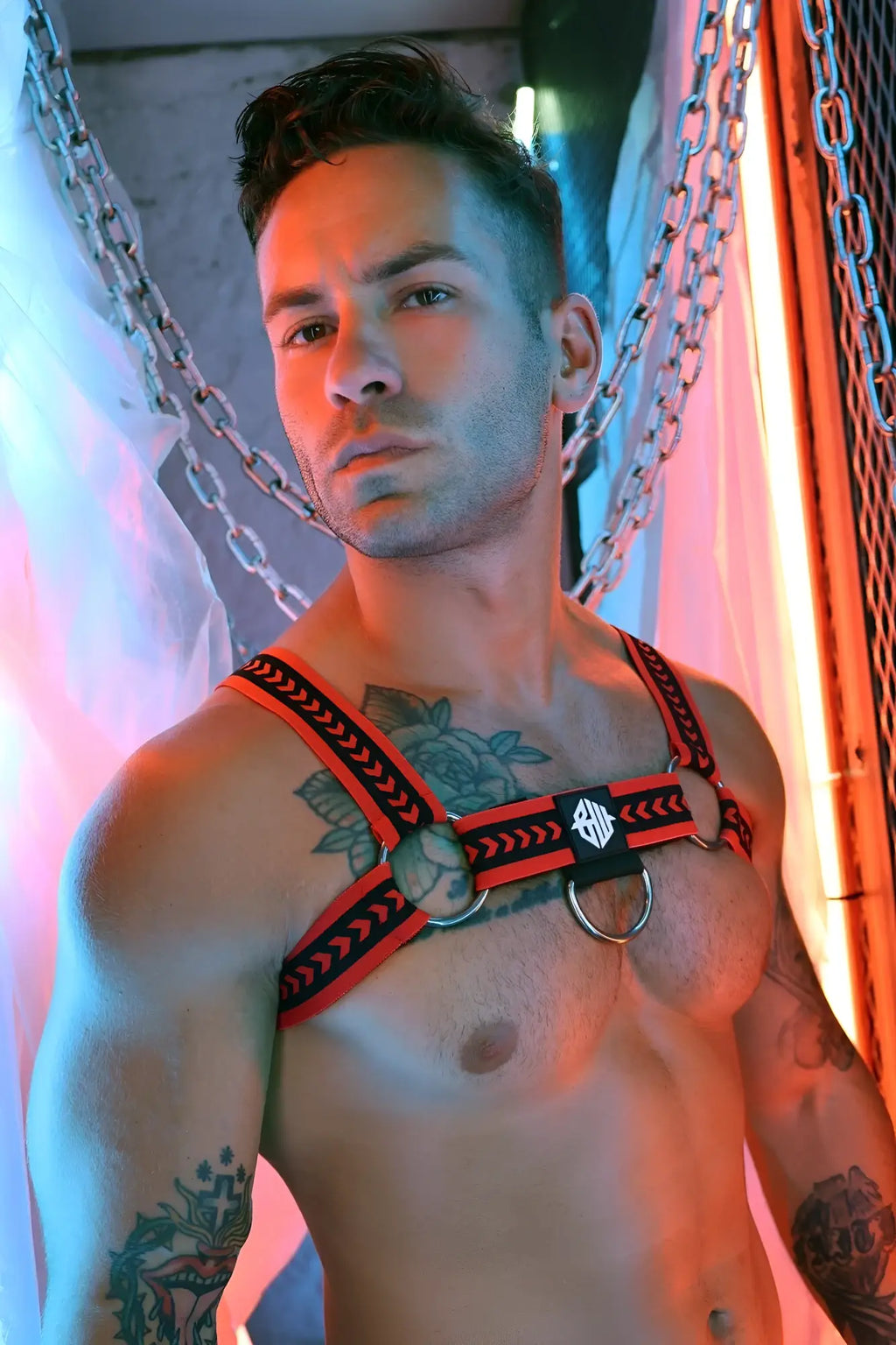 Red and black leather bulldog harness with silver metal rings and central logo plaque for daddy’s favorite use