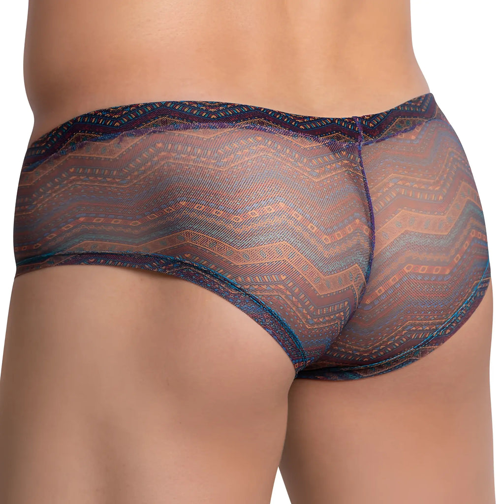 Daniel alexander dag008 translucent patterned boxer briefs with brown blue and purple zigzag design