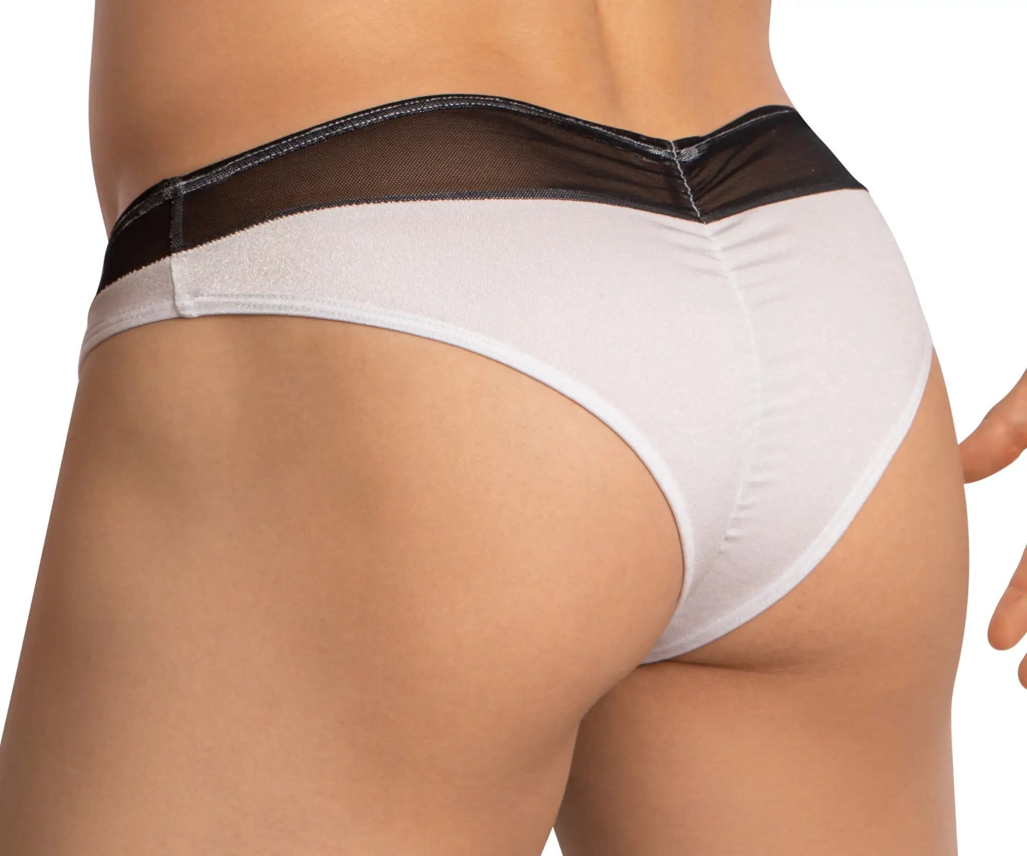 White briefs with black mesh waistband by Daniel Alexander DAI097 bikini brief showing front view