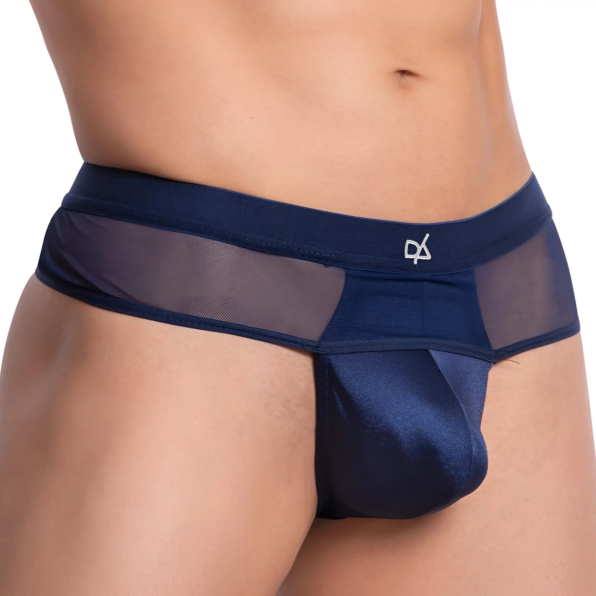 Navy blue sheer mesh and satin briefs with white logo waistband shown from the back from Daniel Alexander DAK062 thong