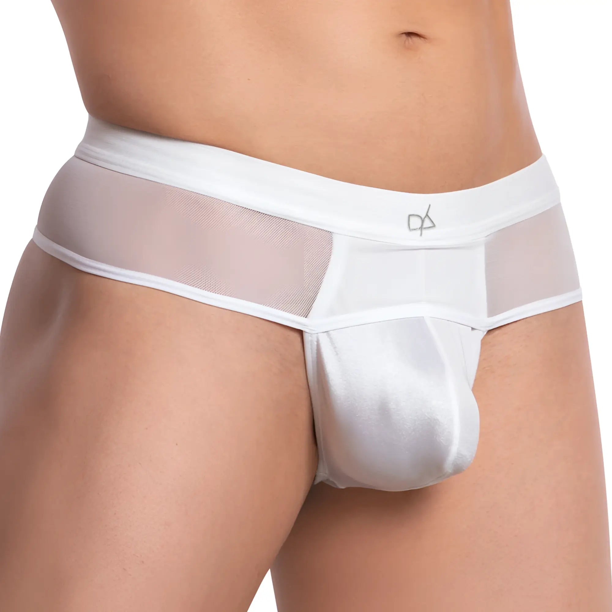 Daniel Alexander DAK062 white mesh and satin briefs with subtle logo on waistband front view