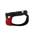 Black and red leather harness with silver metal hardware featured on the dngeon peekaboo jockstrap