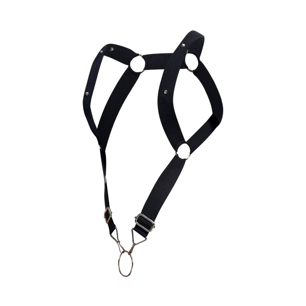 Dngeon straight back harness in black leather with silver metal hardware and adjustable straps shown from the back side