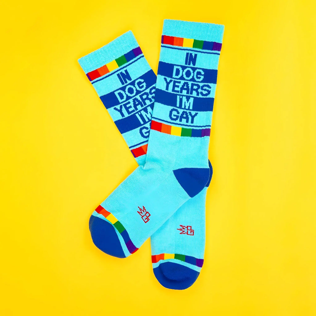 Light blue crew socks with bold navy stripes rainbow accents and in dog years im gay lettering in navy