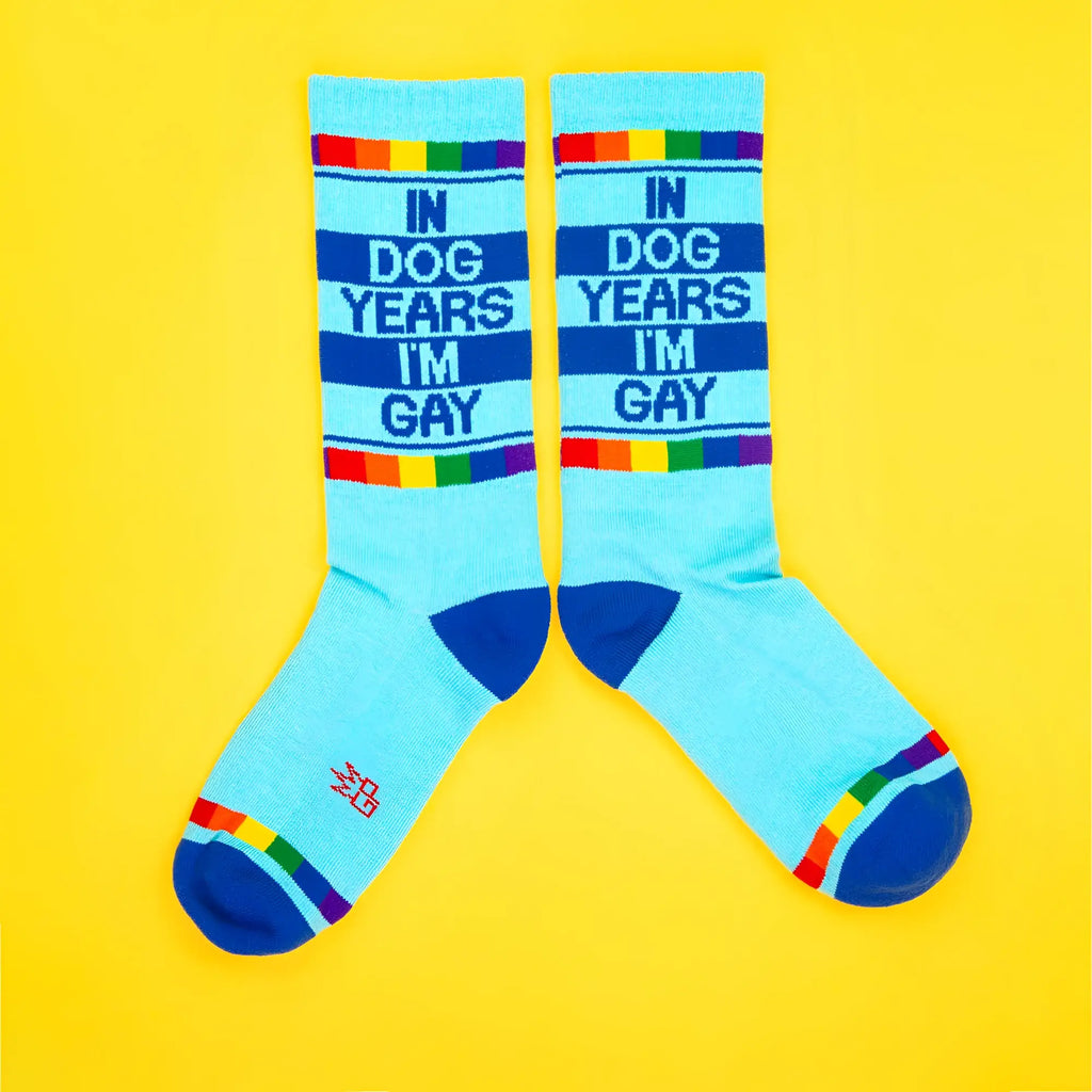 Light blue knee-high crew socks with bold navy text in dog years im gay rainbow stripes and dark blue toe caps