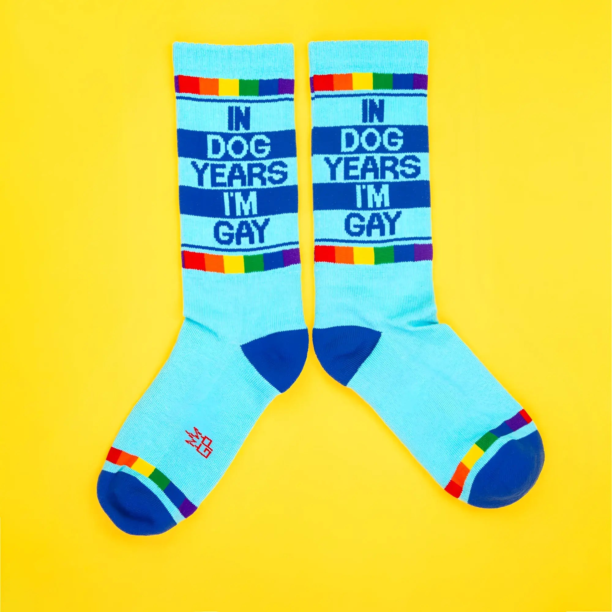 Light blue knee-high crew socks with bold navy text in dog years im gay rainbow stripes and dark blue toe caps