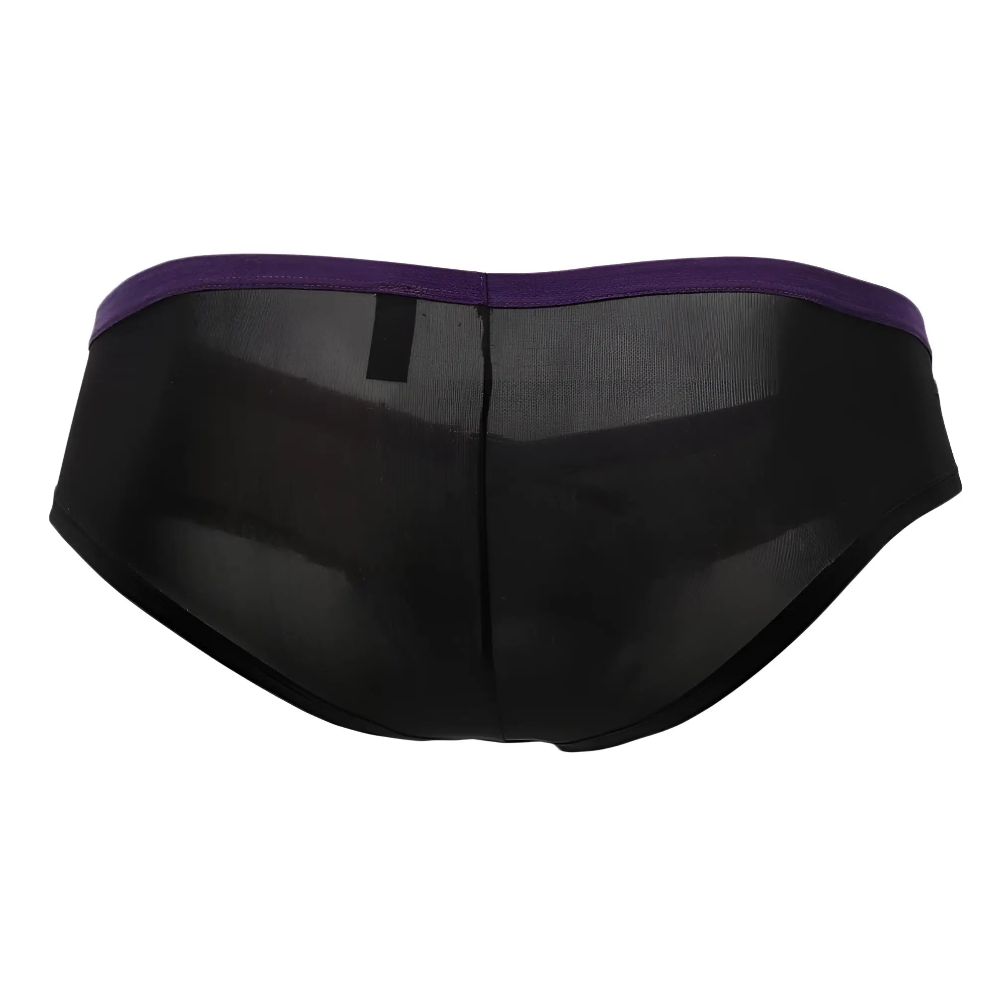 Doreanse 1377-BLK boost cheeky brief in black sheer mesh with a solid purple waistband shown from the back side
