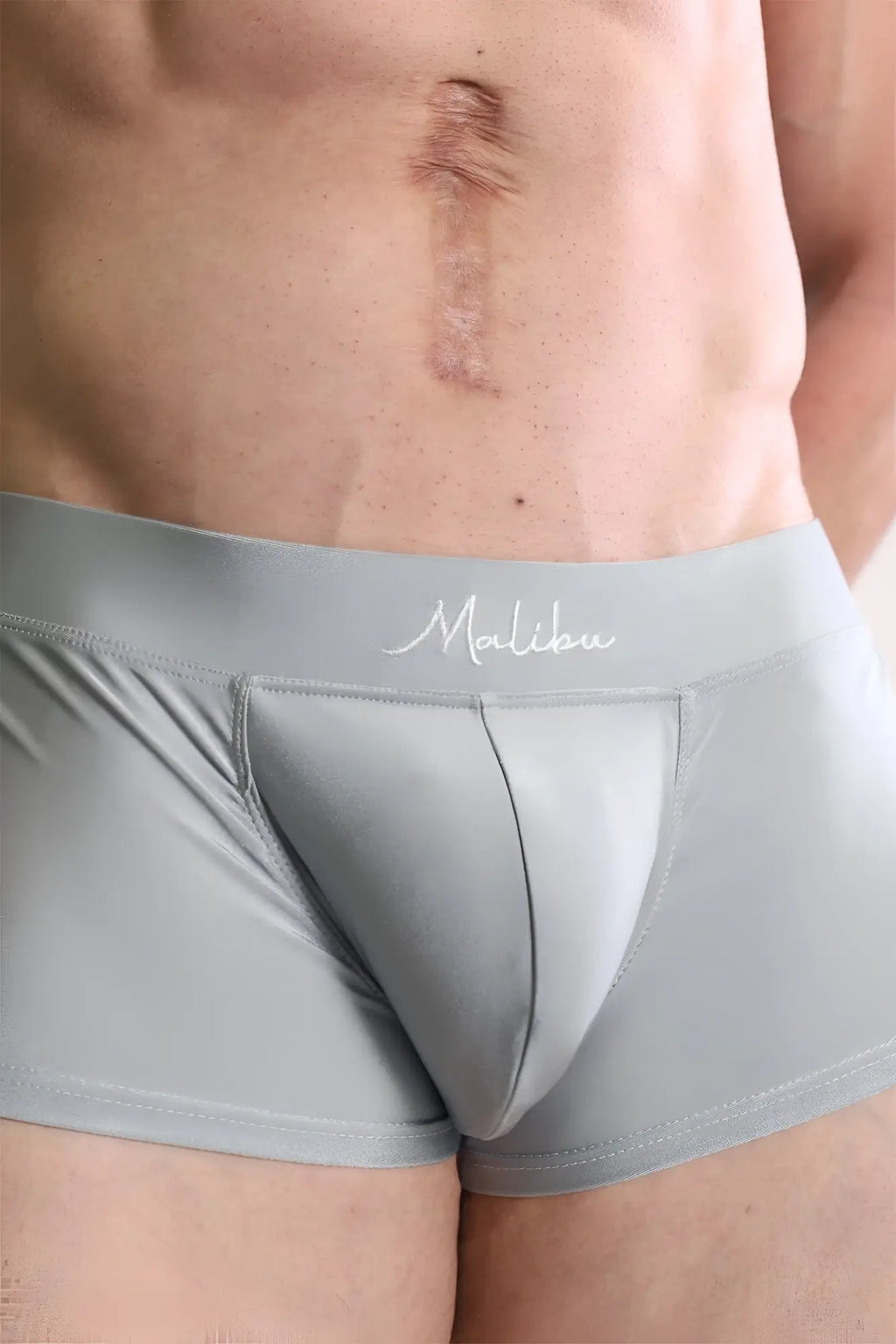 Dynamic sheen boxer briefs by malibu in dark grey with smooth form-fitting fabric and subtle stitching details