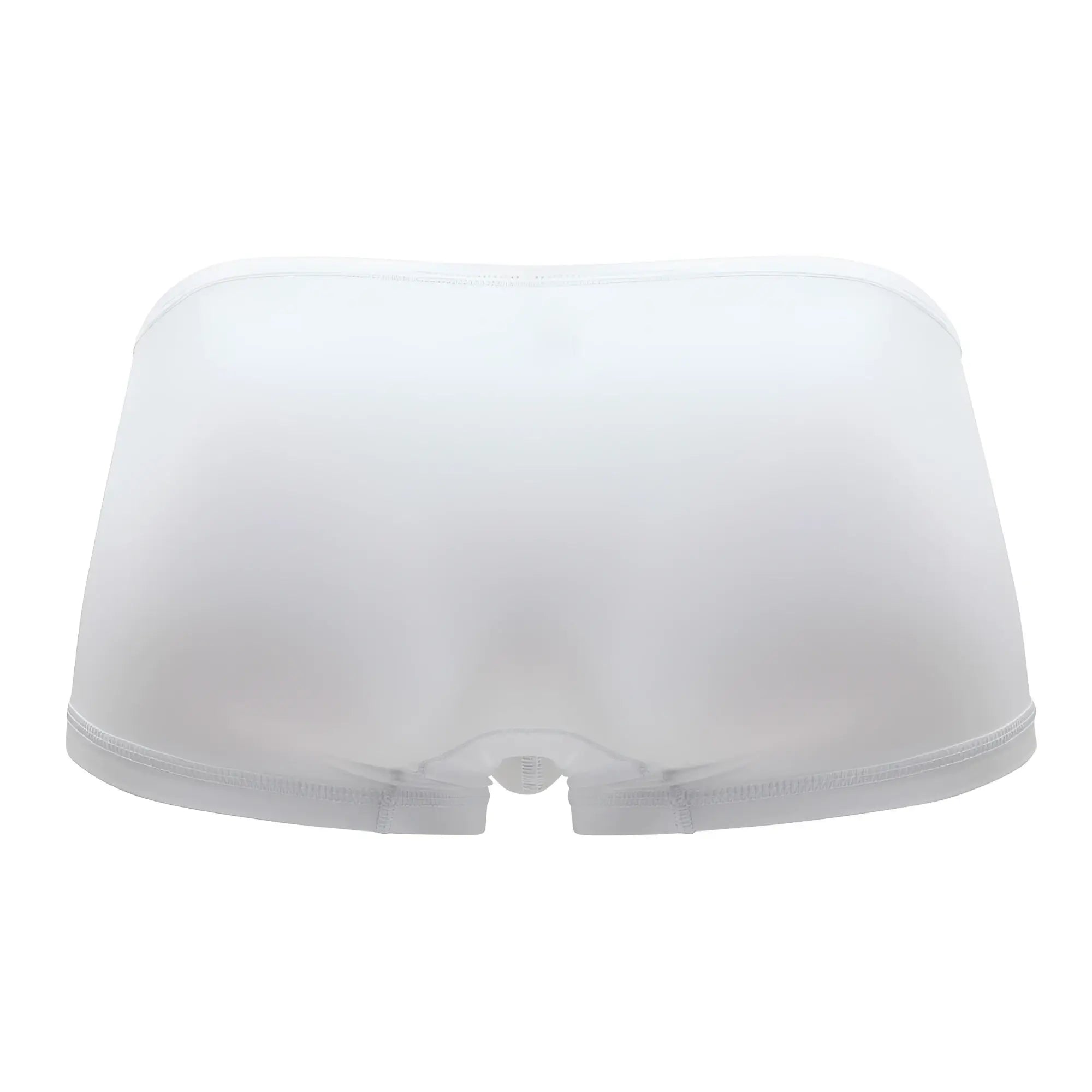 ErgoWear EW1167 X4D white sheer mesh briefs with seamless design and elastic waistband front view