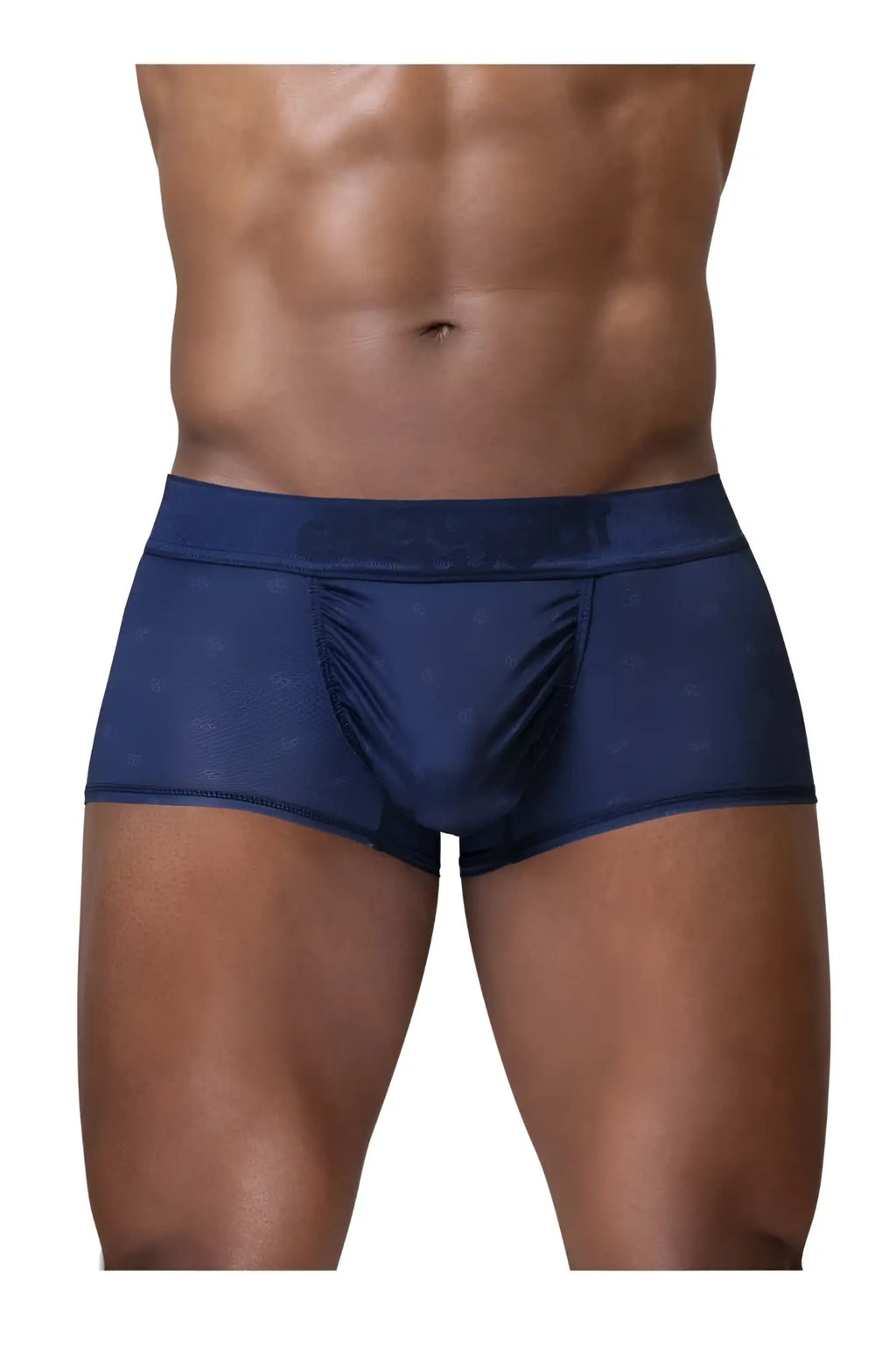 Navy blue sheer mesh briefs with subtle patterned detailing from ergowear ew1752 feel se trunks collection