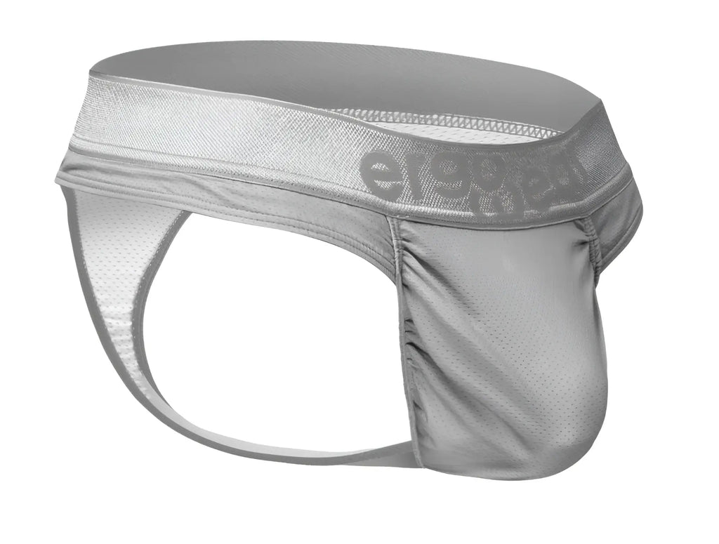 Silver mesh briefs with branded waistband by ergowear model ew1758 feel se thongs color silver shown from the back side