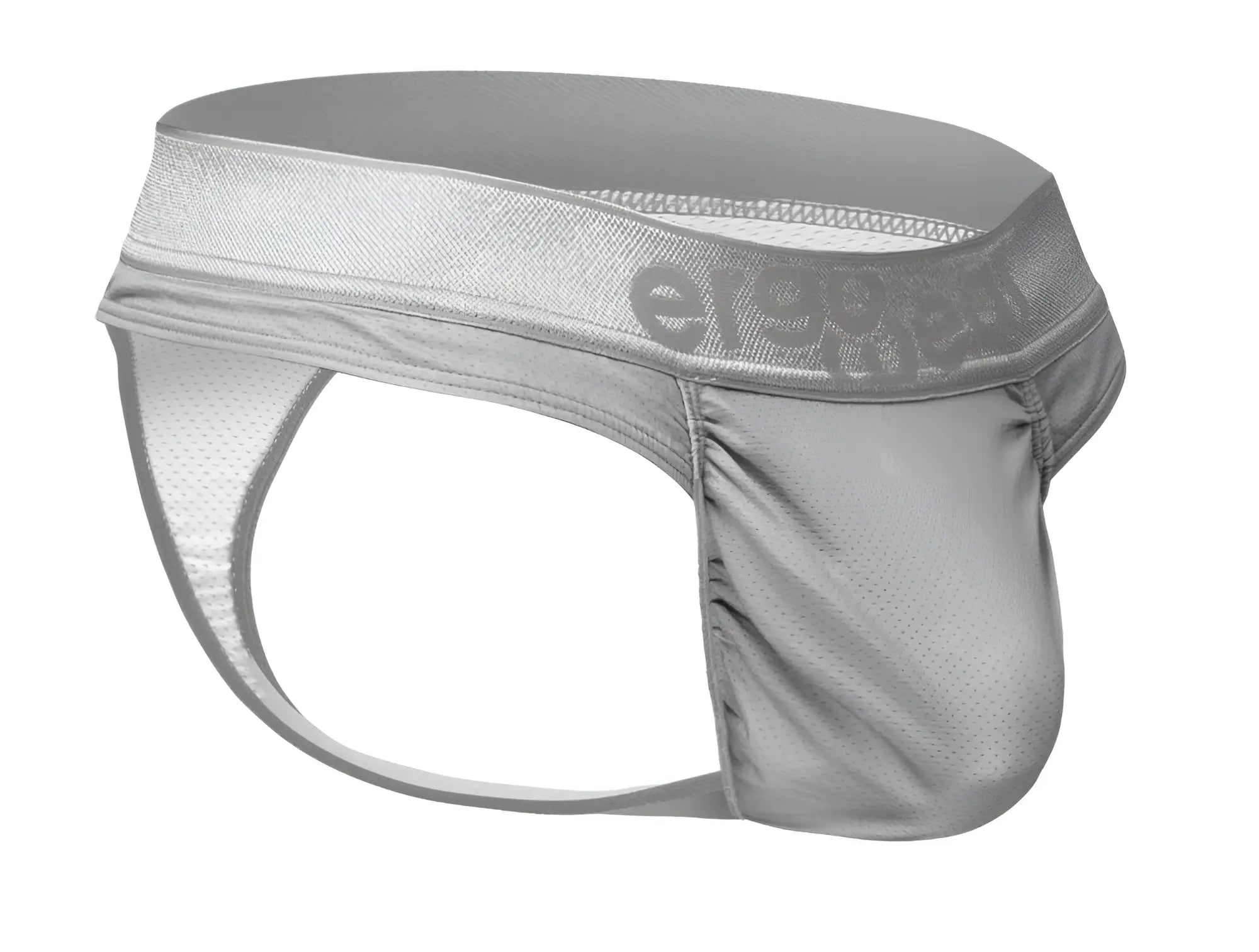 Silver mesh briefs with branded waistband by ergowear model ew1758 feel se thongs color silver shown from the back side