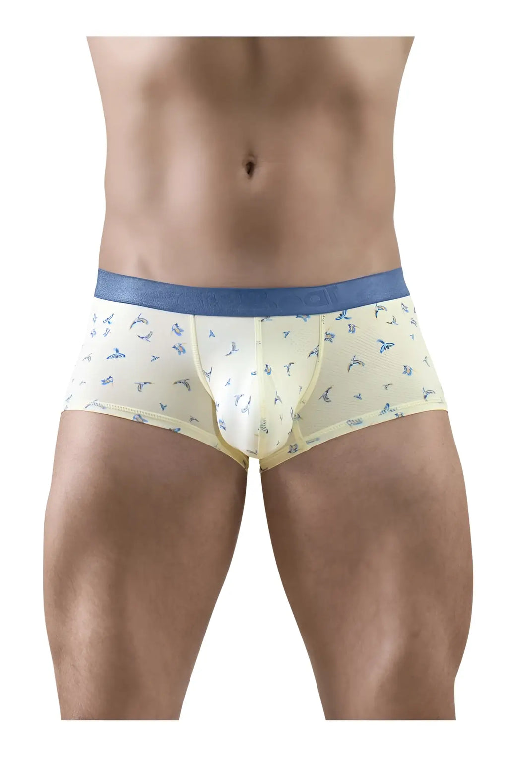 ErgoWear EW1770 SLK SE vanilla color boxer briefs with blue waistband and small bird patterns for everyday comfort