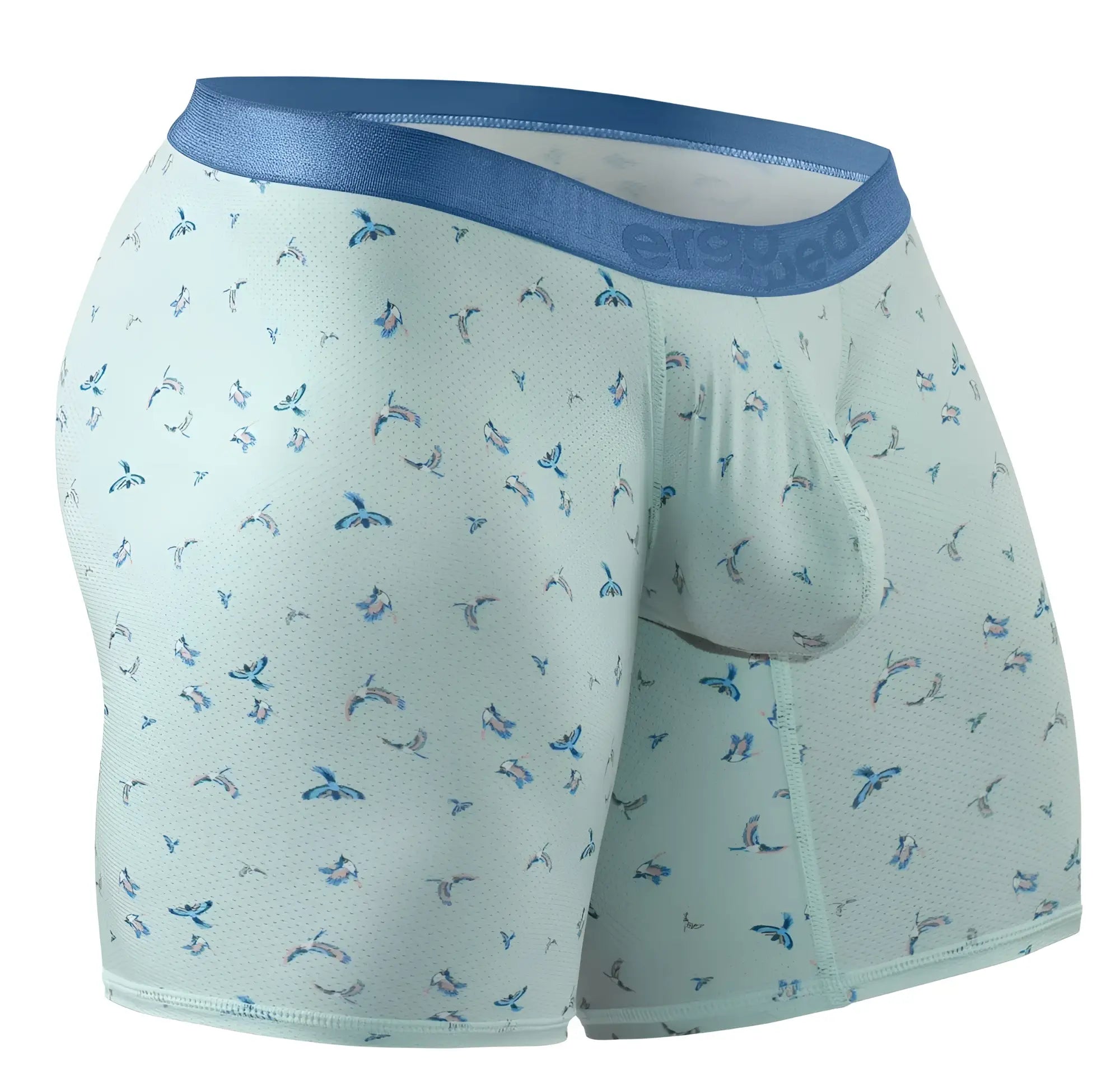 Light green ergoWear ew1779 slk se boxer briefs with blue waistband and small blue bird patterns
