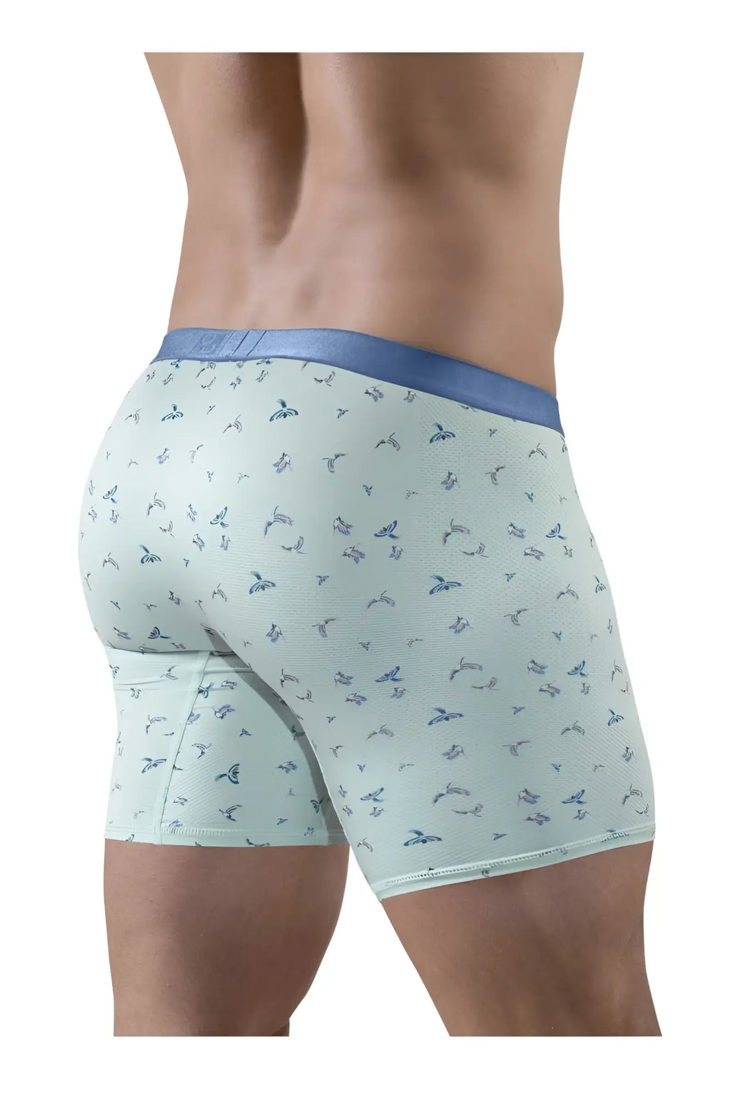 ErgoWear ew1779 slk se boxer briefs in light green with blue bird pattern and solid blue waistband for comfort