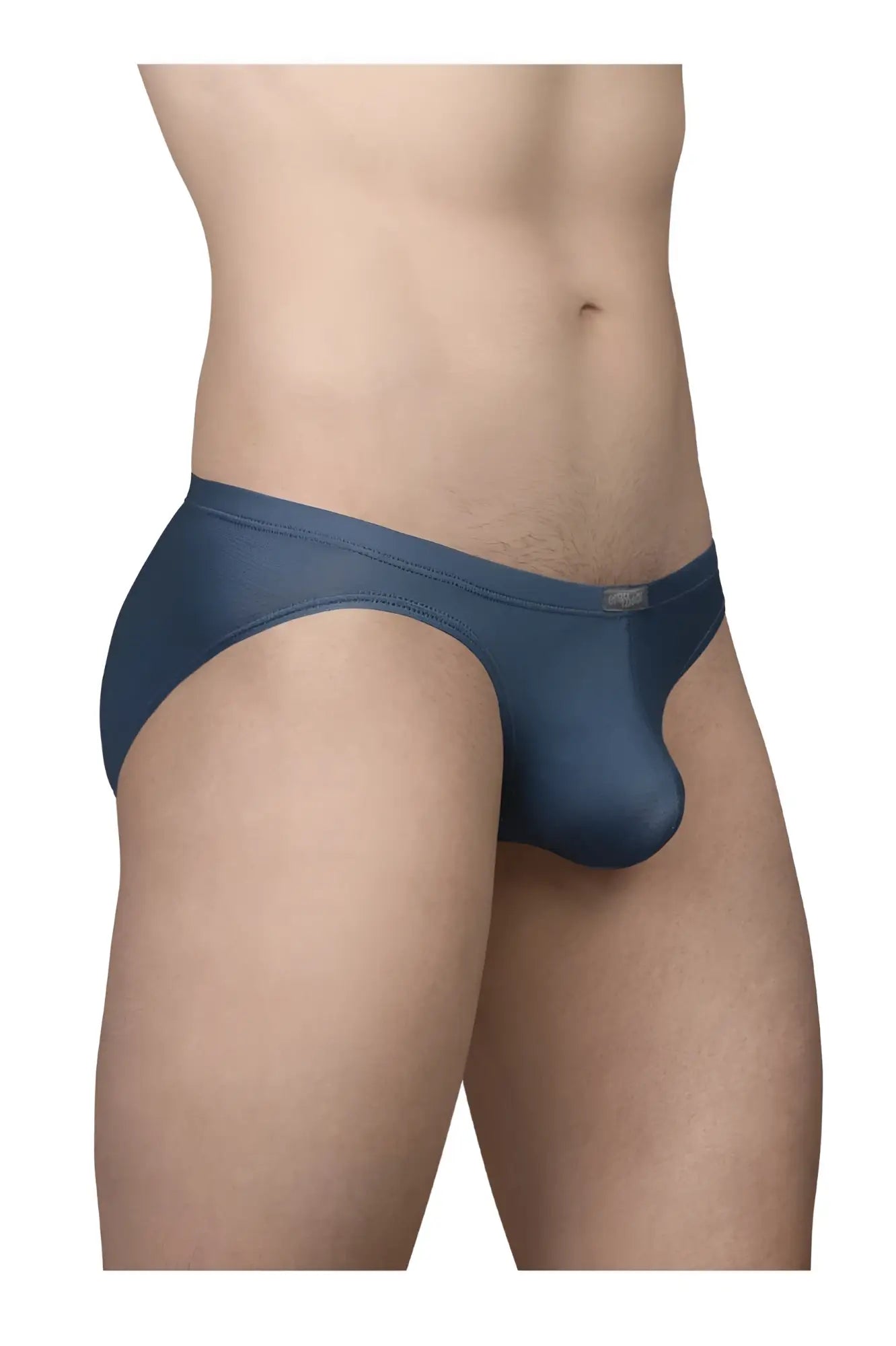 ErgoWear ew1798 x4d se bikini sheer navy blue mesh briefs with smooth form-fitting design
