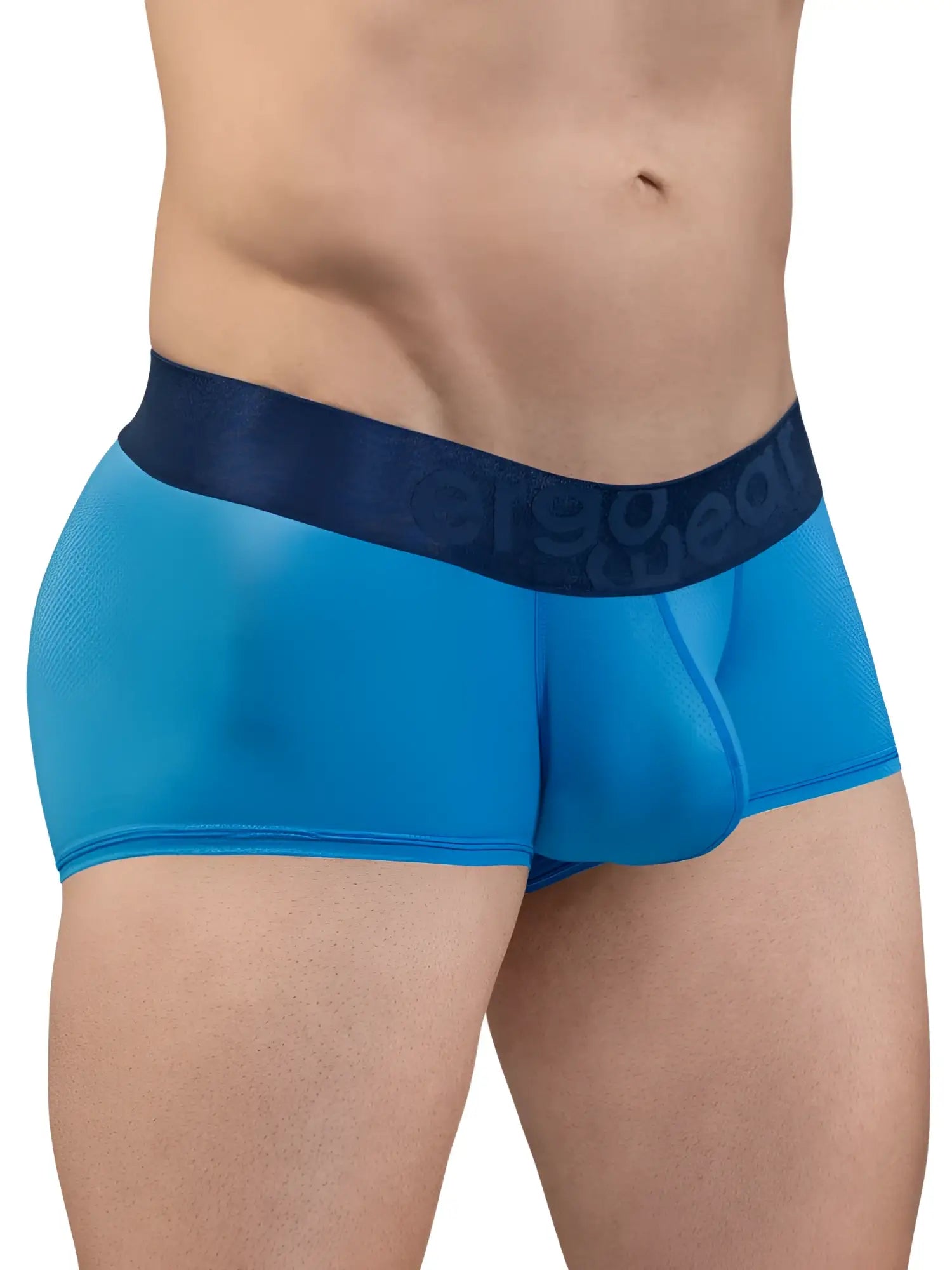 Blue sheer men’s briefs with a dark blue ergo wear waistband in river blue from ergo wear ew1822 max bold se trunks
