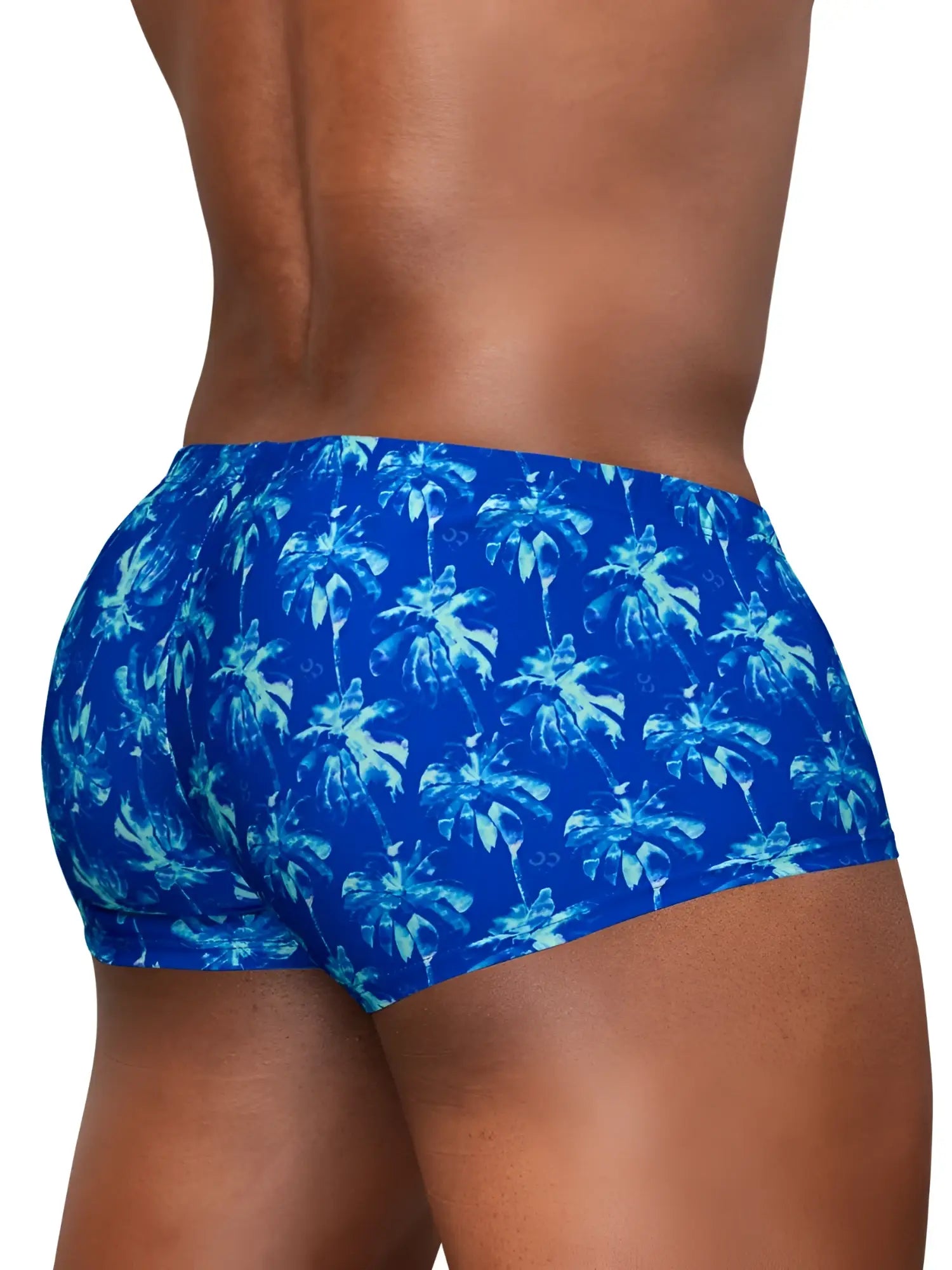 ErgoWear ew1827 feel sw royal blue tropical palm patterned men’s briefs ideal for swimwear and beach use